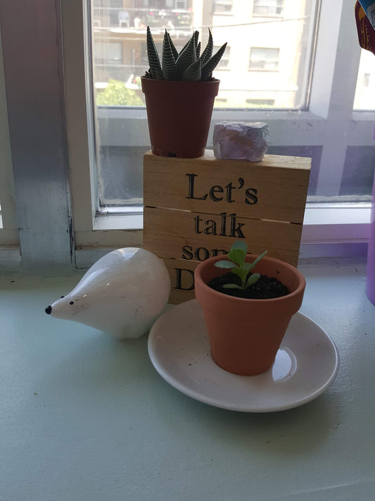 reasons to go to therapy